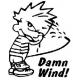 DamnThisWind